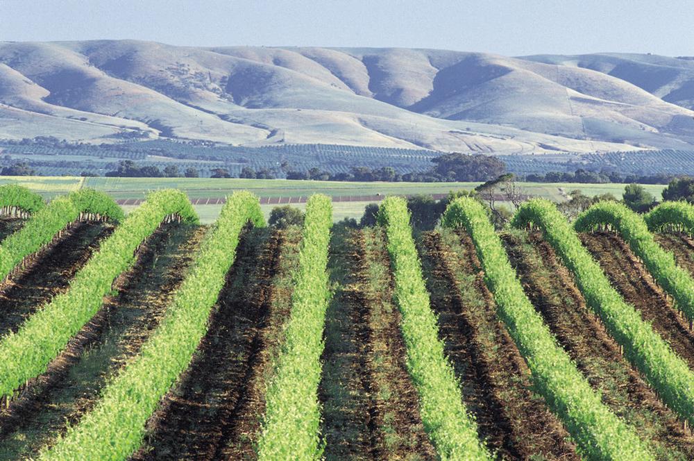 mclaren flat septic tank pumping